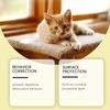Cat  Deterrent Spray Indoor Outdoor Furniture Protector Non Toxic Formula  Long Lasting Household Solution