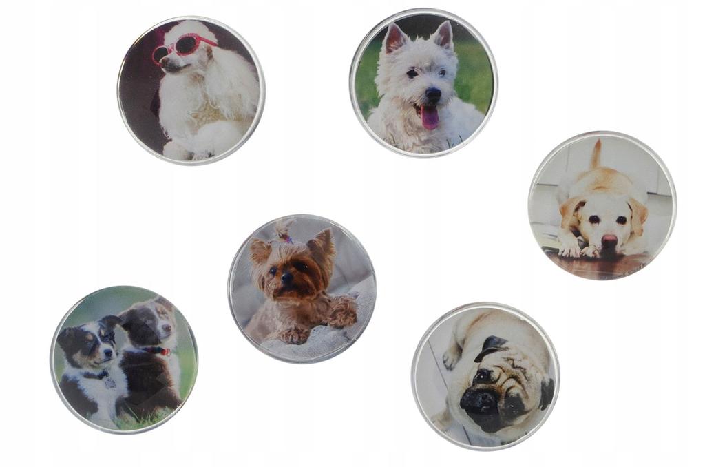 MAGNESY DO TABL.SZK.30/6 PIES 4787