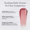 arencia Fresh Rosehip Rice Mochi Cleanser