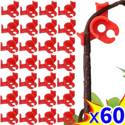 60 pezzi Piegapiante 90 Gradi Clip per Allenamento a Basso Stress Riutilizzabili Giardino Pianta Stelo Ramo Piegatura Supporto Morsetti Accessori