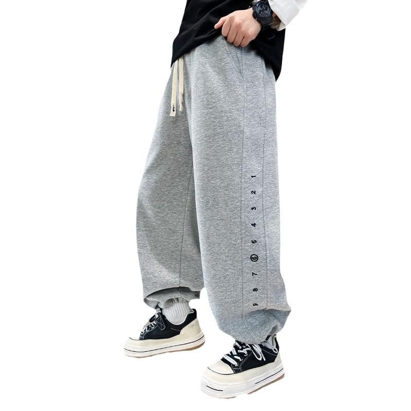 Boys' Wide-Leg Sports Sweatpants - Stylish Spring & Autumn Casual Pants for Kids