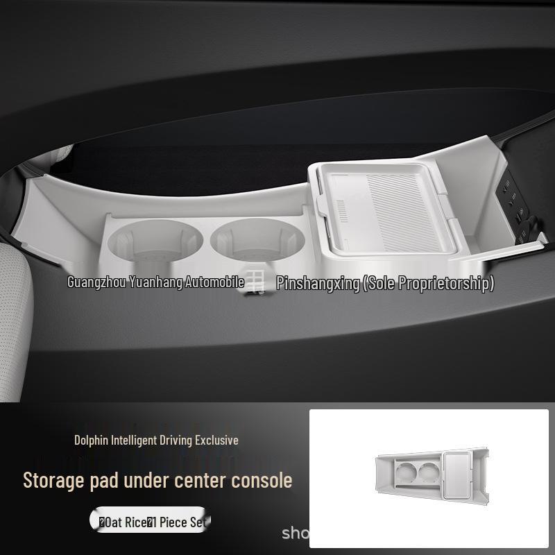 BYD Dolphin 25 Lower Console & Storage Box
