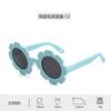Polarized gray lens