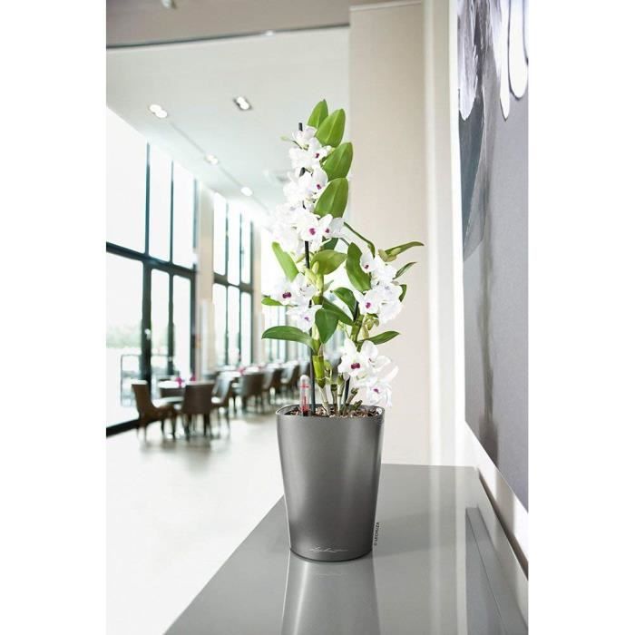 Pot de table - lechuza - deltini - anthracite métallisé - 14x14x18 cm - réserve d'eau intégrée