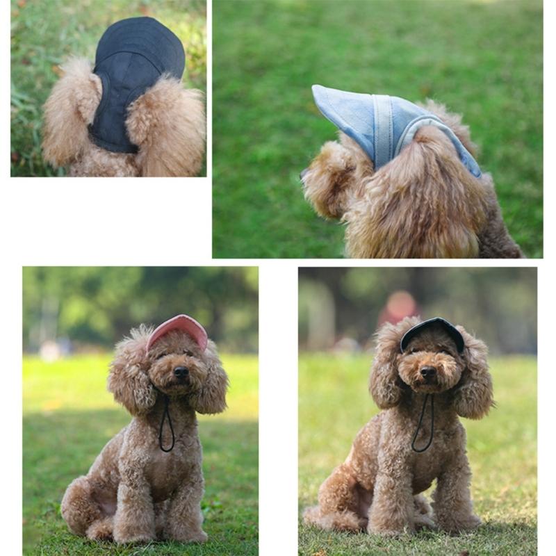 Cappellino Stiloso per Cane 4 Misure Disponibili Design Traspirante Cappellino Parasole per Animali Domestici Ideale per Passeggiate Quotidiane e Giochi Spiaggia