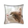 Cute Cat Pillowcase Anime Cartoon Cushion Cover Sofa Home Decor Home Office Pillowcase 45x45cm
