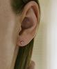 Akarki 14K Aster Earrings
