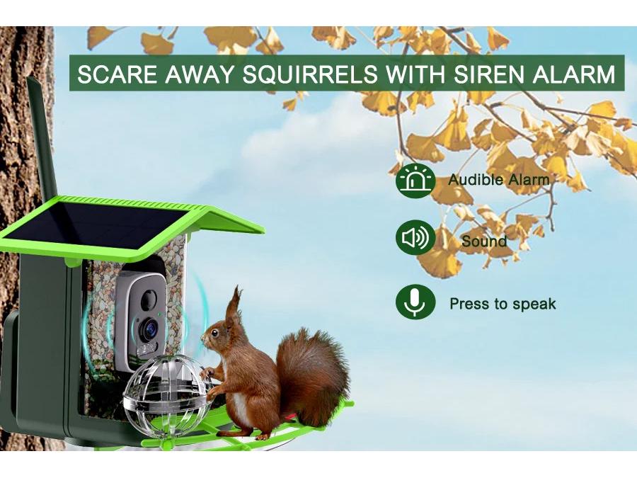 Smart Solar Bird Feeder with AI Recognition and Low Power HD Camera