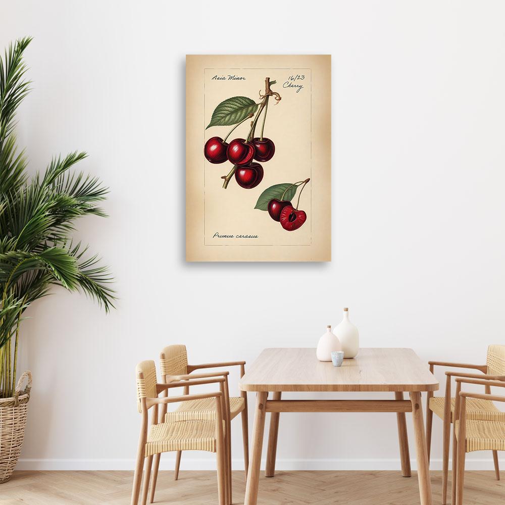 Canvas print, Vintage Fruit Cherry