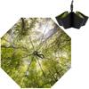 Sunshade Folding Umbrella with Automatic Compact Travel Umbrella for Premium Folding Umbrella for Sun and Cute One-Touch Open/Close, Rain, Windproof,