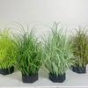 5PCS Simulated Small Grass Bushes for Decorating Fake Grasslands Simulating Reeds and Fake Green Plants Home Decoration PVC Material