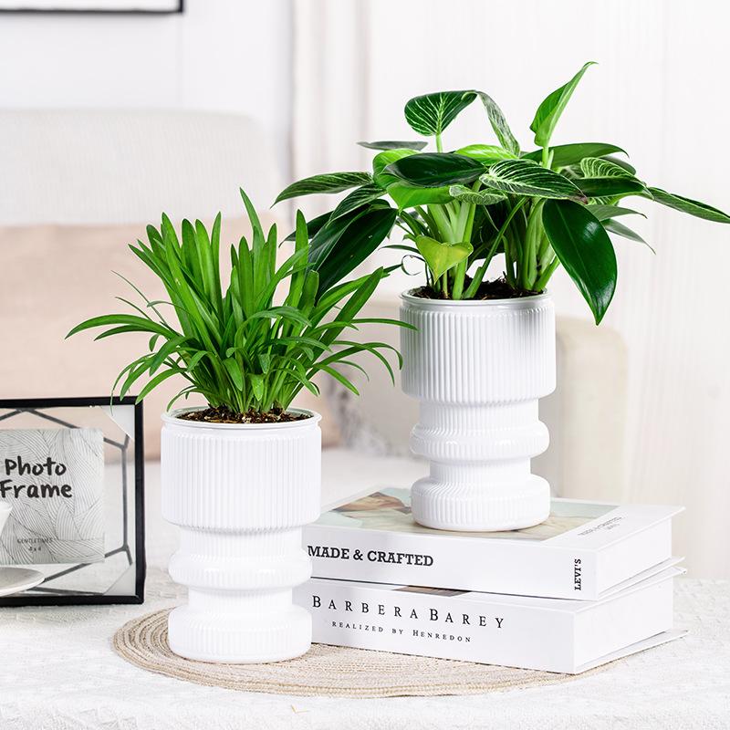 Self-Watering Lazy Flower Pot Creative Imitation Glass Transparent Plastic Resin Small Potted Plant Hydroponic Vase Indoor Succu