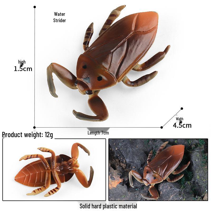 Montessori-Inspired Realistic Insect Toys: Beetle, Dragonfly, Butterfly, Scorpion, Spider, Bee