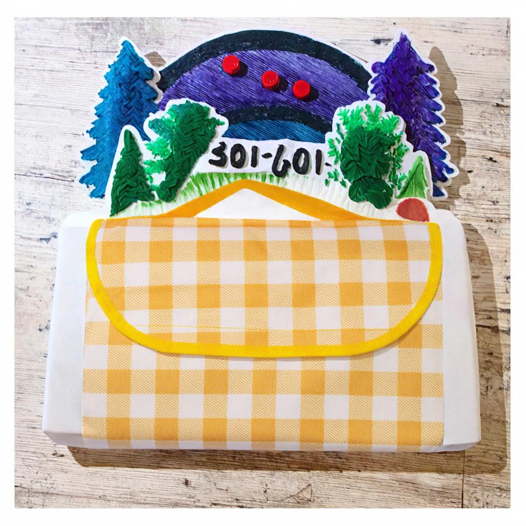 PE Picnic Mat  Blanket 200cm*200cm Dampproof Open Foaming for Picnic  Barbecue Camping
