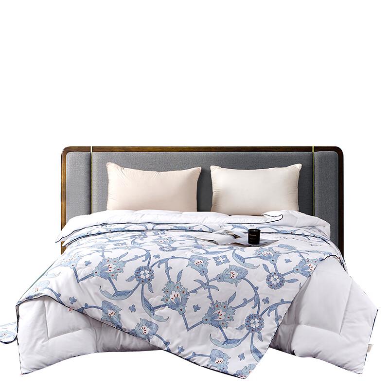 

KINTHERI Mulberry Silk All-Season Duplex Quilt Set