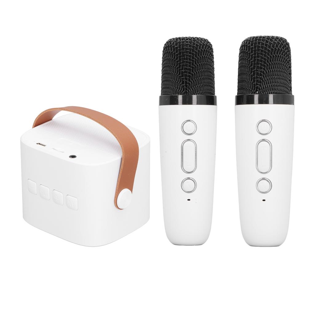 Kids Karaoke Machine Portable Versatile Long Endurance Dual Microphone Bluetooth Speaker for Party