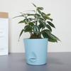 Multicolor Flower Pot Self Watering Detachable Base Self-watering Flowerpot Round Breathable Removable Bottom Planter