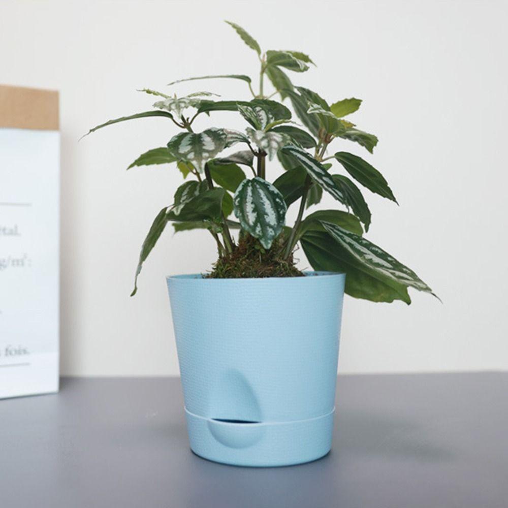 Multicolor Flower Pot Self Watering Detachable Base Self-watering Flowerpot Round Breathable Removable Bottom Planter