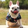 Multi Sizes Dog Hawaiian Shirt Lightweight Pineapple Print Shirt Cat Shirt  Outdoor Walking