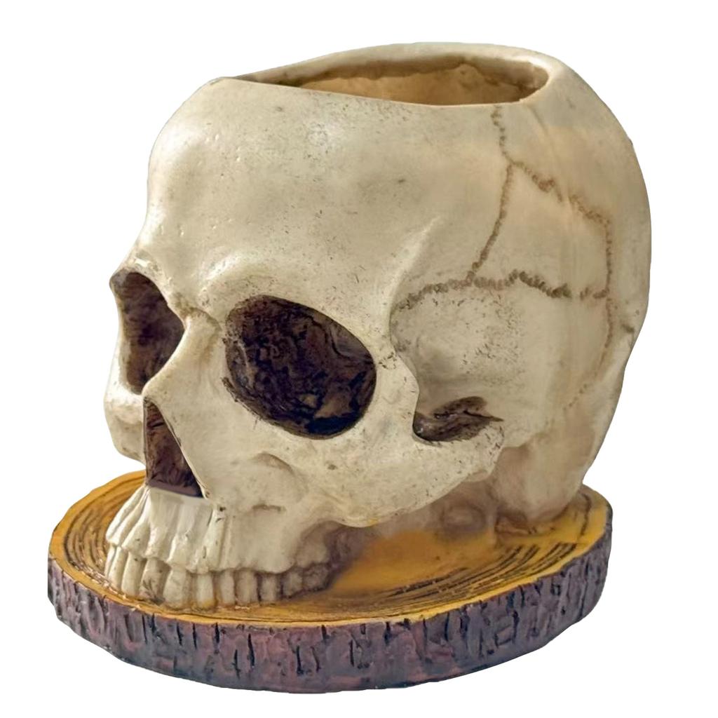 Vintage Style Skull Shaped Planter Pot with Distressed Finish on Wood Base for Indoor Outdoor Use Unique Decorative Container