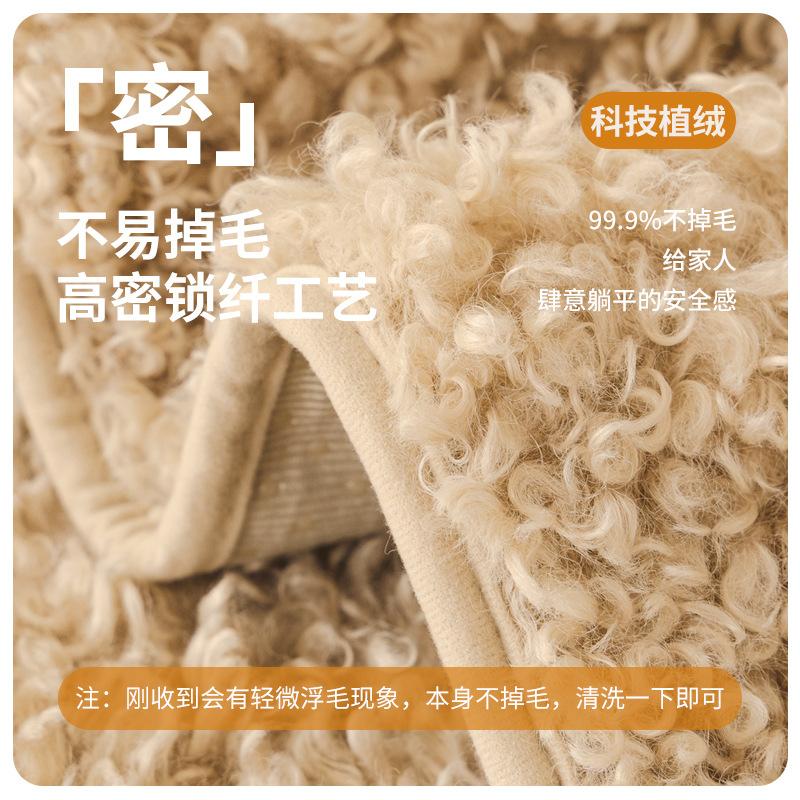 Solid Color Sofa Cushion Autumn And Winter Teddy Velvet Sofa Seat Cushion Cover Cloth  New Light Luxury Seat Cushion Backrest Towel