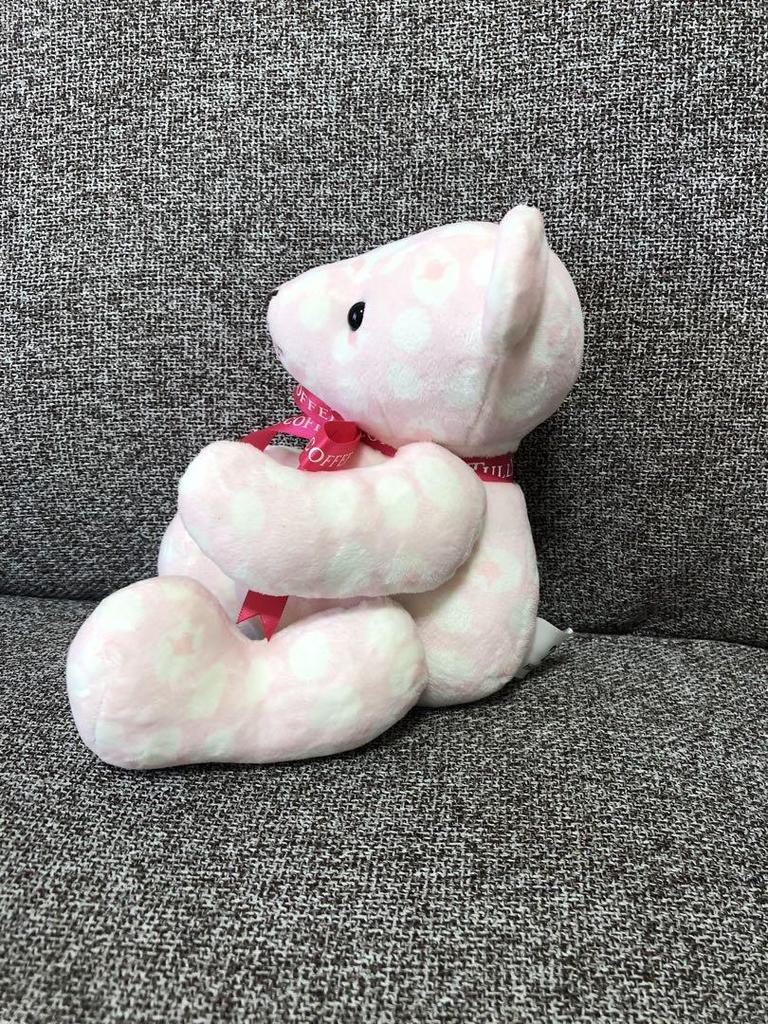 [USED] Tully's Teddy Bear 2015