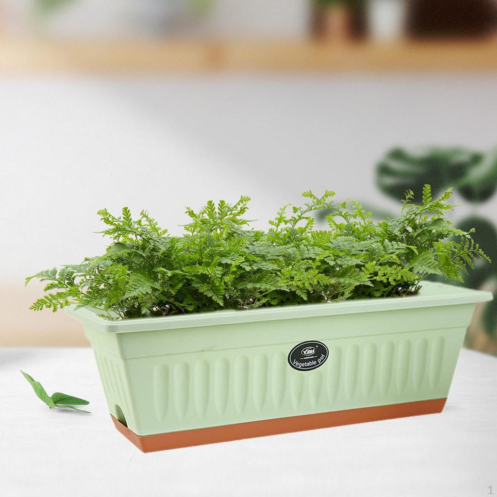 Flower Window Box Vegetable Planter Rectangle 50x19x16cm Windowsill with Drainage Holes for