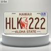 Car License Plate Metal Wall Decor 15x30cm