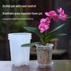 Large Clear Plastic Flower Pot for Phalaenopsis with Air Column and Root Control