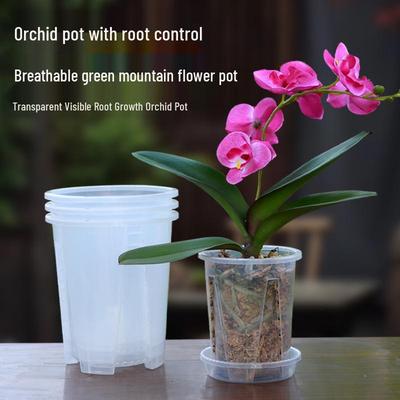Large Clear Plastic Flower Pot for Phalaenopsis with Air Column and Root Control