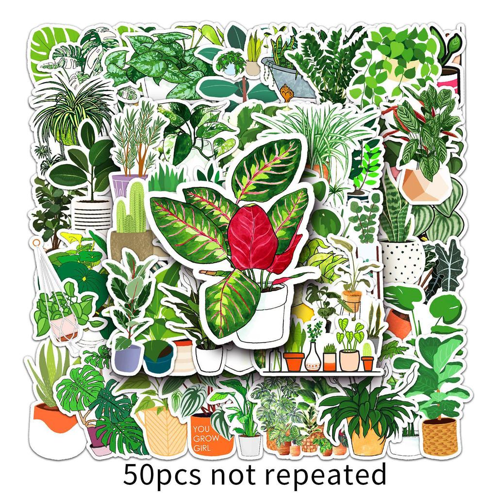 50 Green Plant Waterproof Stickers for Suitcases, Laptops, and More
