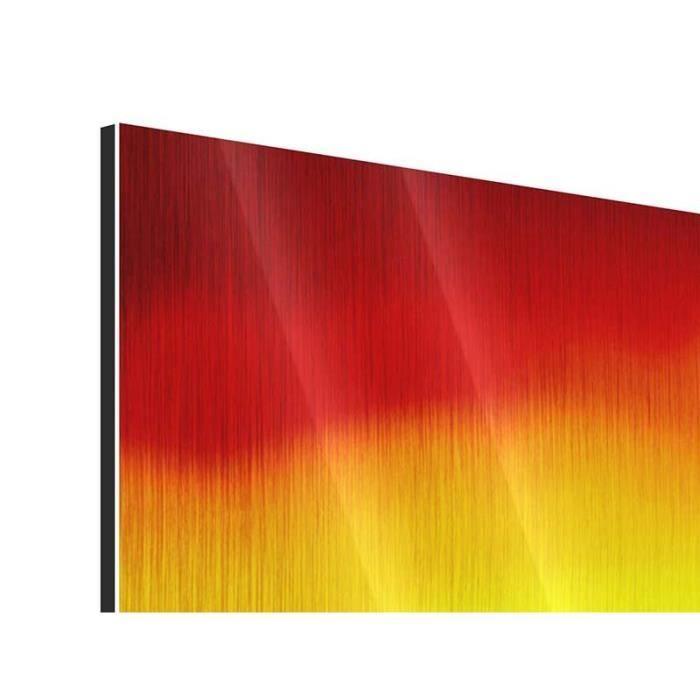 Panoramic Tableau Métal Fascination Africa 60 x 20 cm