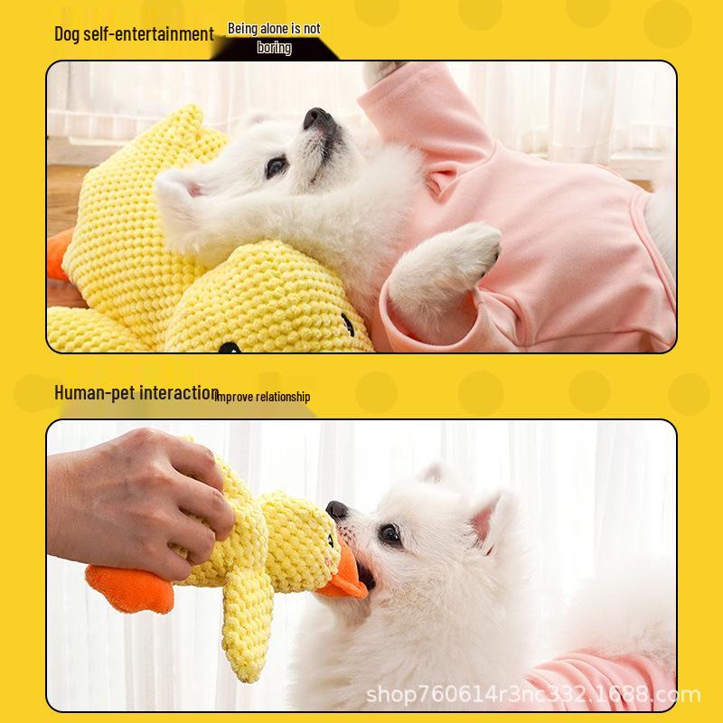 

Squeaky Bite-Resistant Dog Toy: Charging Duck for Small & Large Dogs - Golden Retrievers, Corgis, and More. Squeaky Charging Duck Small [Self-Entertaining]