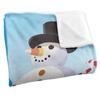 Sesame Street Snowman Cookie Monster Blanket