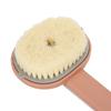 Bath Brush   Handle Removable Brush Head Waterproof Comfortable Brush for Bathrom