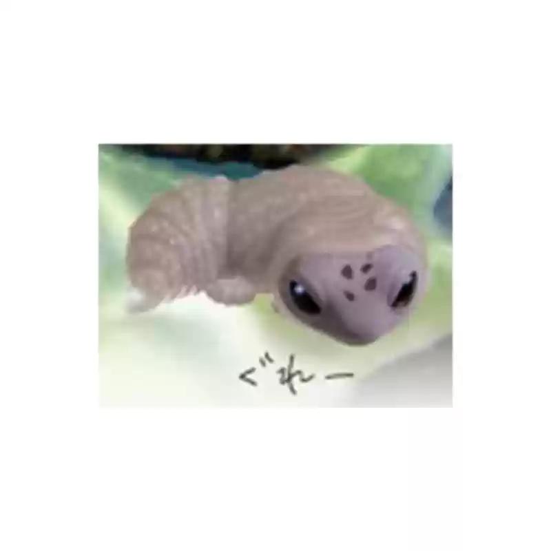 Authentic Yell  Shedding Leopard Gecko Reptile Pet Simulation Ornament Cute