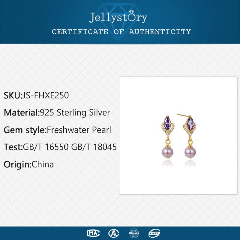 Tancise Elegant Drop Earrings 925 Silver with Crystal Zircon Earring for Women Wedding Party Gift