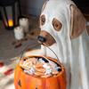 Halloween Dog Cat Statues Festival Theme Ghost Dog Candy Bowl Holder Multifunctional Anti Fading Festival Party Decoration Gift