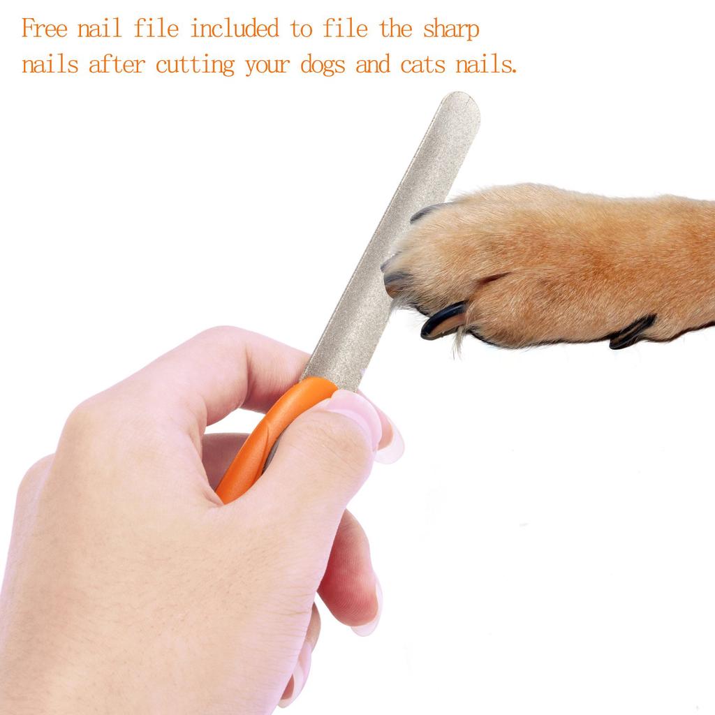 Buy Dog Nail Clipper and Trimmer, With Cat Nail Grinders Trimmers Pet