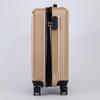 Shijiang 20-inch PC Hardside Spinner Luggage