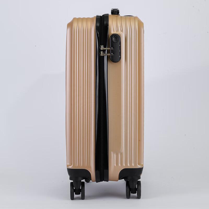 Shijiang 20-inch PC Hardside Spinner Luggage