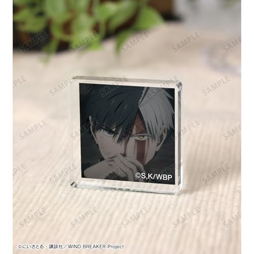 TV Anime "WIND BREAKER" Trading Scene Acrylic Tiles Box of 8