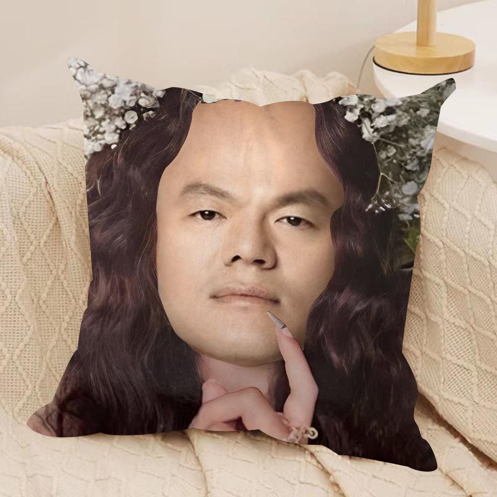 J-JYP Meme Cushion Cover Soft Plush Fabric Double-Sided Printed Sofa Cushion Cover for All Seasons Home Decor Gift