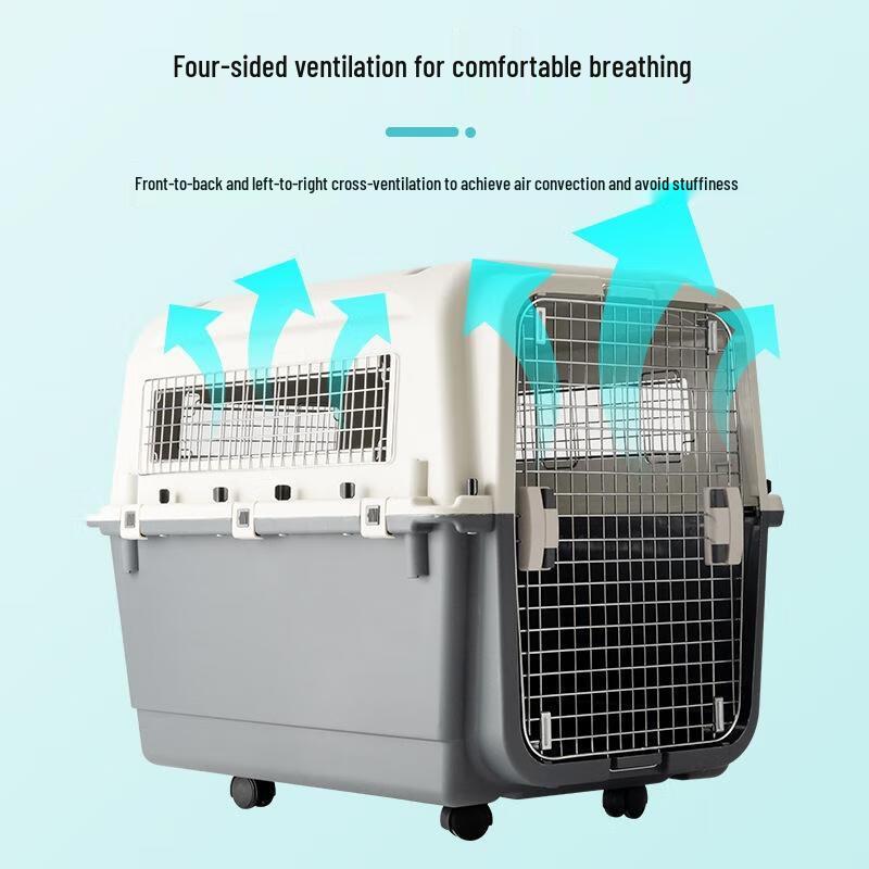 JINGRUIXIANG Tragbare Haustier-Reisebox