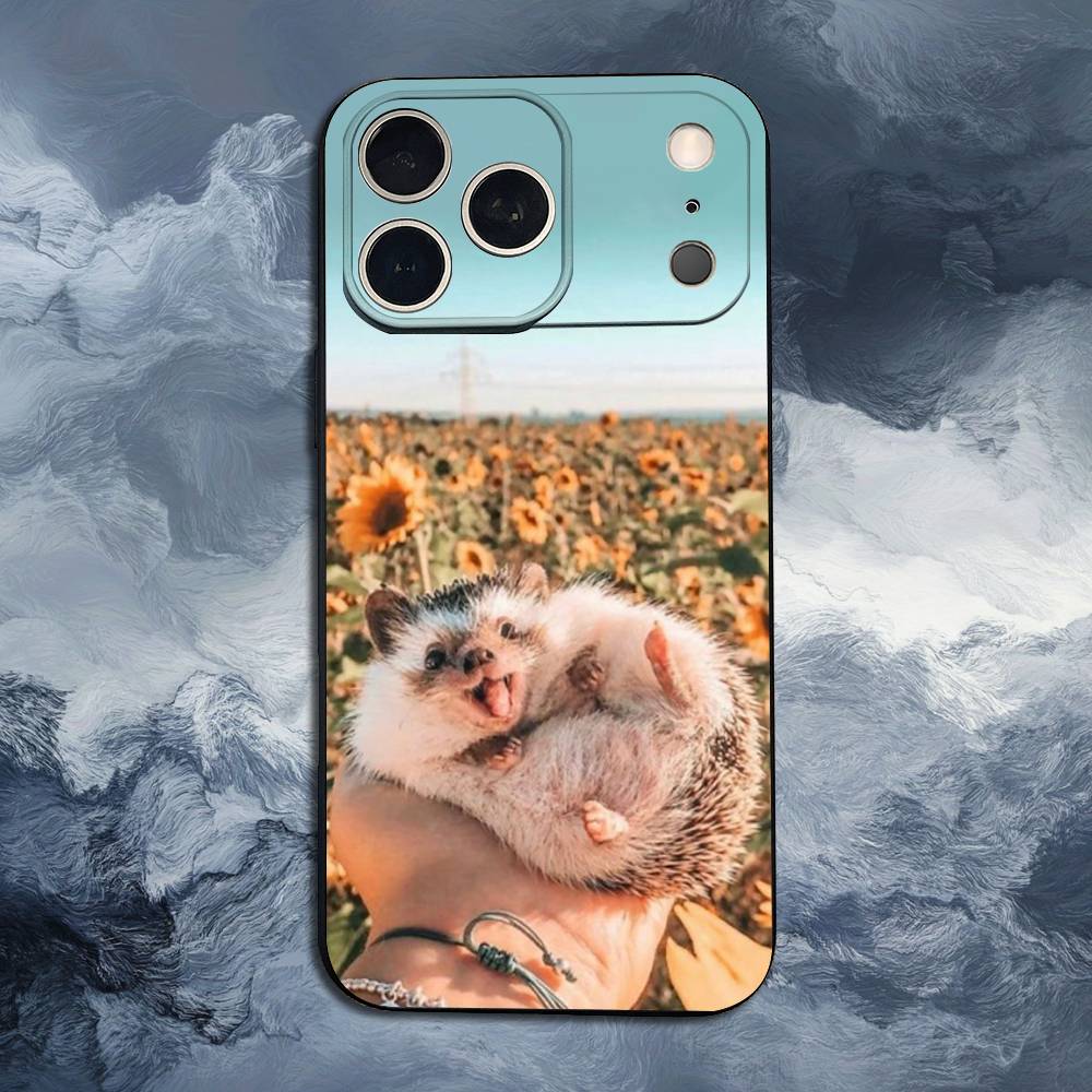 Cute Hedgehog  For iPhone 13,16,11,14,17,12,15,Plus,Pro Max,XS,X,XR,SE,Mini,8,7,Phone Case Soft Silicone Black