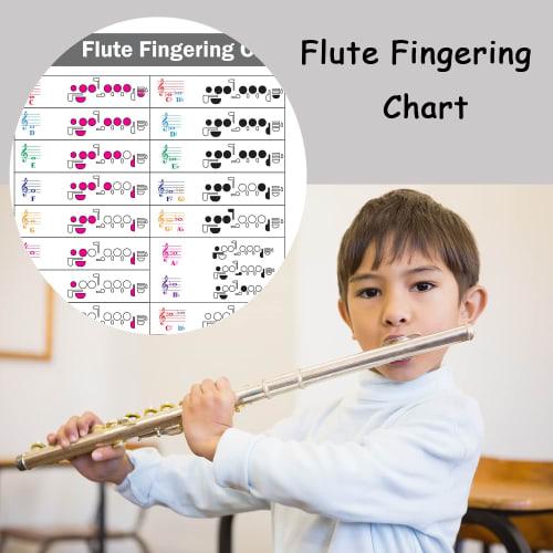 Flute Instructions, Color-Coded Notebook, Flute Technique, All Levels, Made in the USA