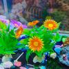 Aquarium Artificial Flowering Plants Decoration Fish Tank Landscaping Water Grass Ornaments Aquatic Simulated Flower Plant Supplies