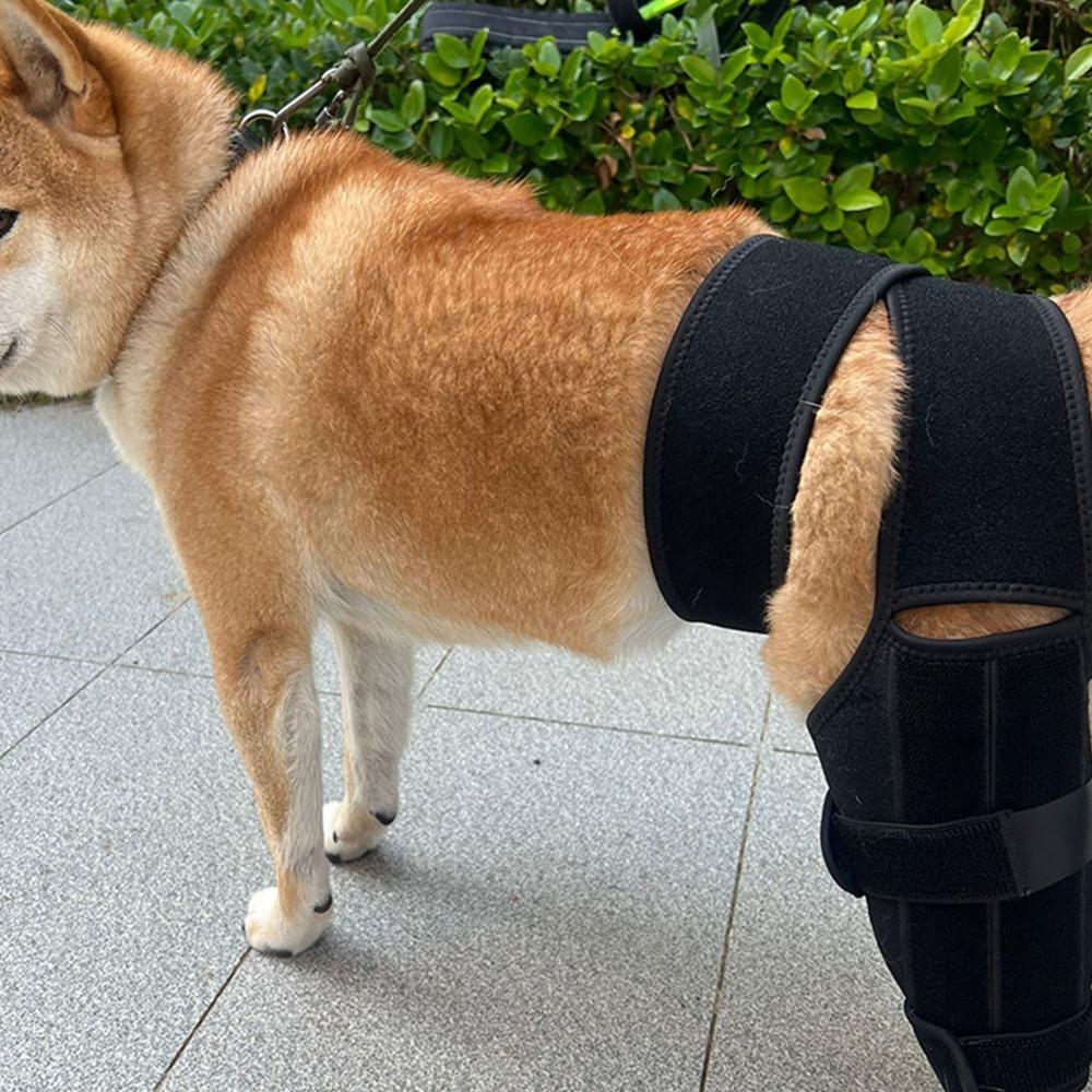 Adjustable Pet Leg Support Flexible Pet Recovery Bandage Dog Leg Protector Leg Injury Care