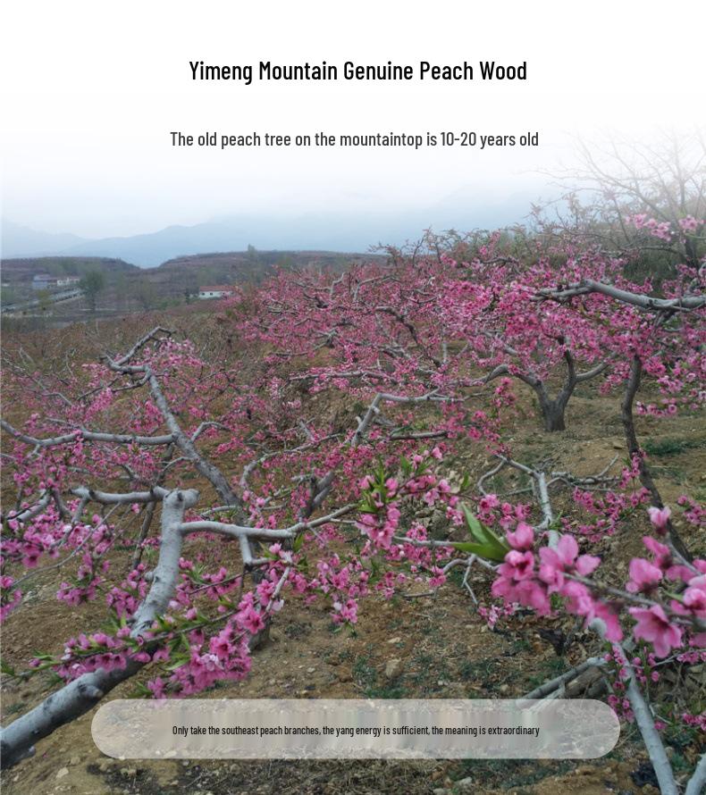 Handmade Peach Wood Pendant with Five Emperors Coins for Baby's Bedside