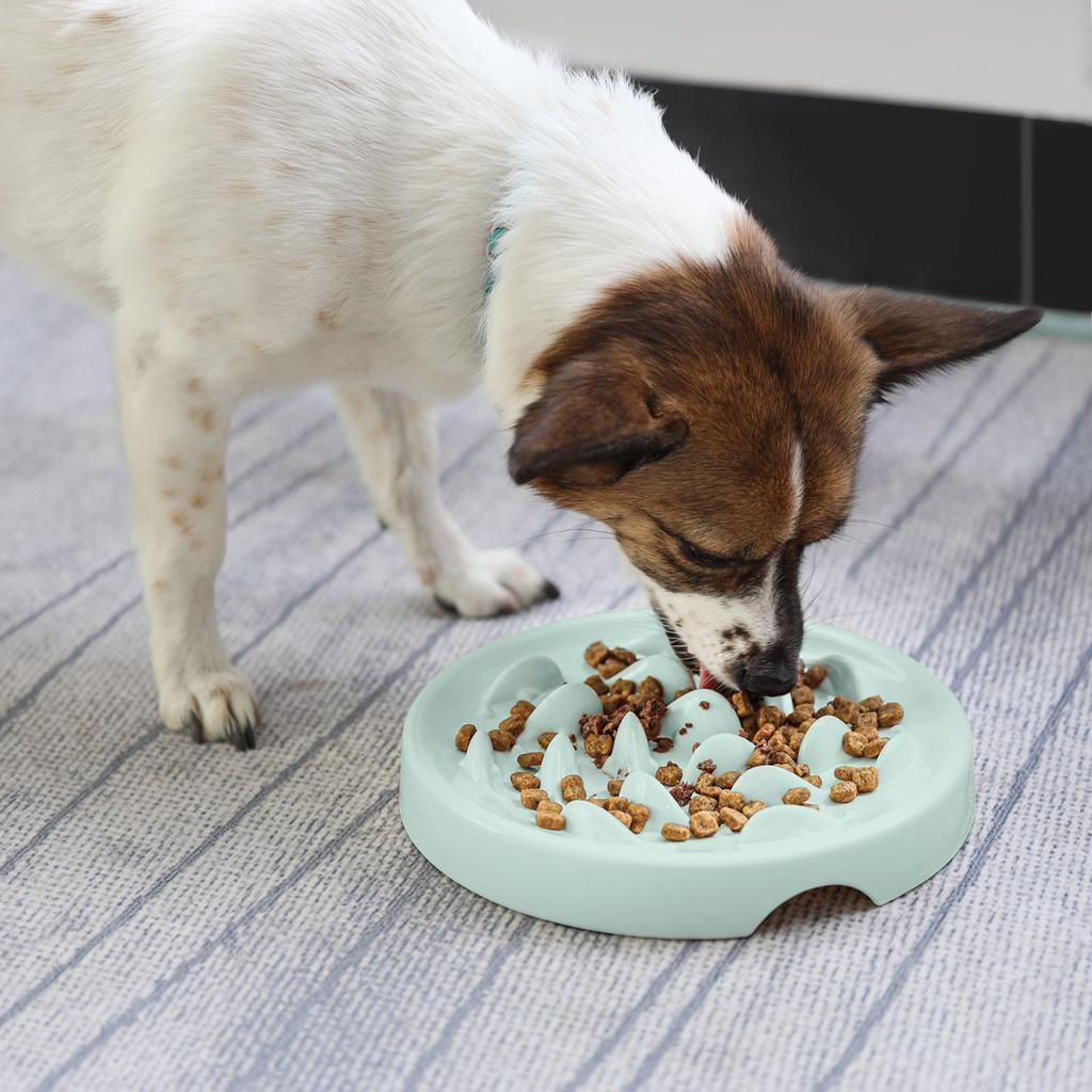Slow Food for Cats and Dogs  Pet Healthy Anti-Chinging Rice Cat Bowl Slow Food Dog Bowl for Cats and Dogs Pet Supplies